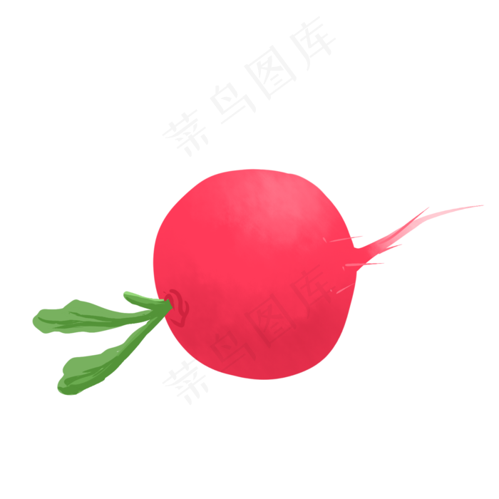 胖胖红红的可爱萝卜