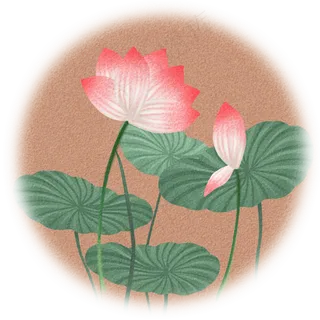 中国风复古荷花荷叶