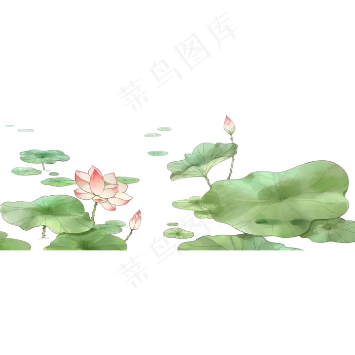 唯美夏至荷花(2000X2000(DPI:300))psd模版下载