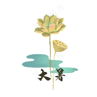 节气大暑莲花荷花荷塘,免抠元素