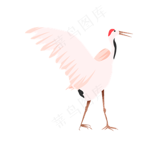 中国风鸣叫凤舞仙鹤