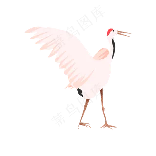 中国风鸣叫凤舞仙鹤