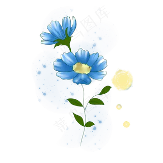 春天里蓝色的花雏菊手绘装饰,免抠元素