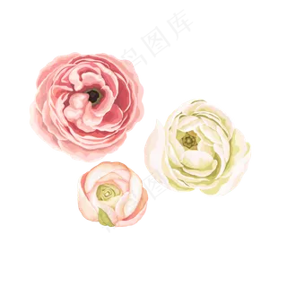 水彩风小清新手绘花朵