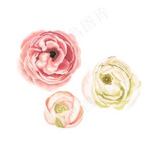 水彩风小清新手绘花朵