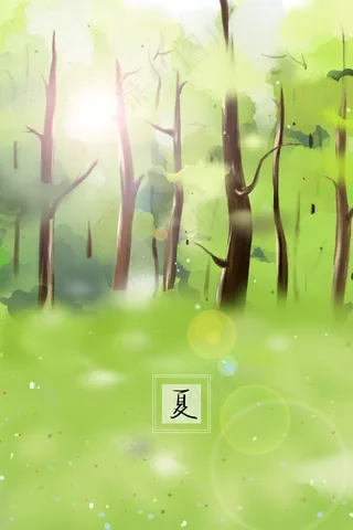 夏日树林中阳光从树叶间洒下来