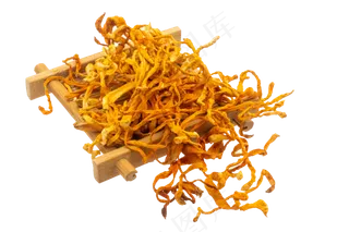 虫草花黄色药材