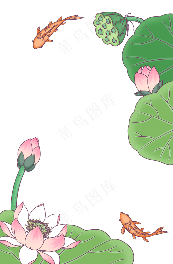 荷花边框荷下游鲤