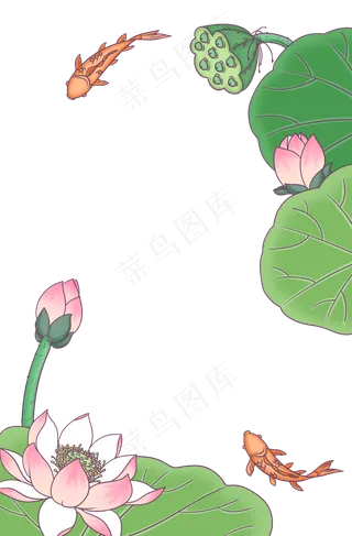 荷花边框荷下游鲤
