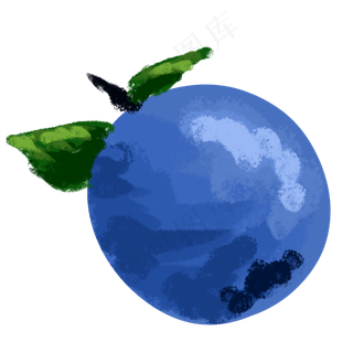 一个新鲜的蓝莓水果