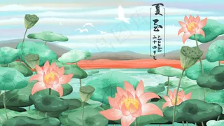 二十四节气夏至荷花池