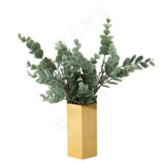 新鲜的盆栽植物免抠图