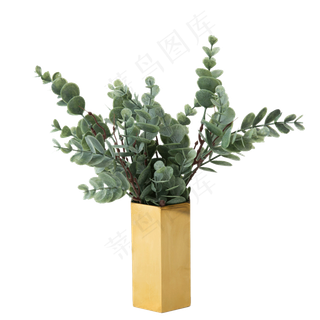 新鲜的盆栽植物免抠图