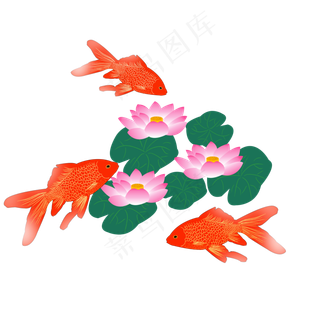 金鱼金鱼荷荷花叶池塘元素