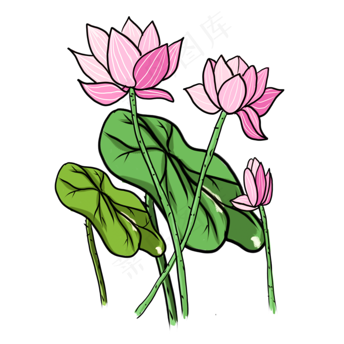 手绘中国风荷花PNG素材(2000X2000(DPI:300))psd模版下载