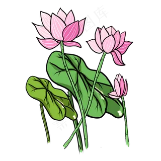 手绘中国风荷花PNG素材