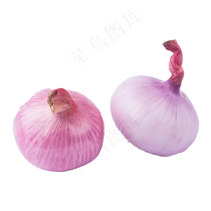 两个洋葱（png免抠）(2000X2000(DPI:72))psd模版下载