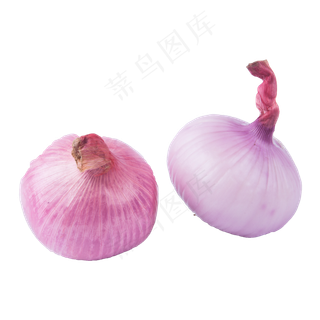 两个洋葱（png免抠）