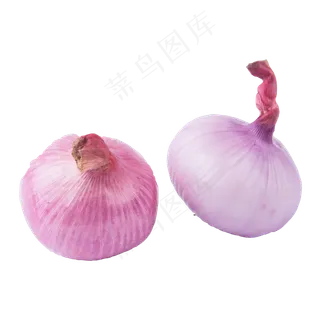 两个洋葱（png免抠）