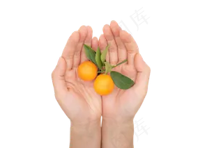 手托金桔水果