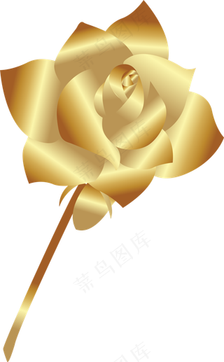 金箔玫瑰花朵礼物节日