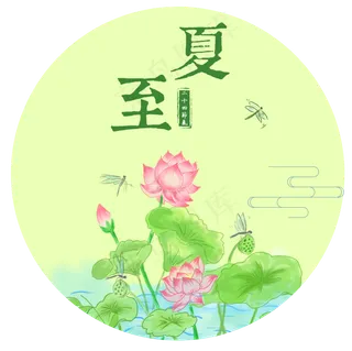 夏至中国风二十四节气手绘荷花插