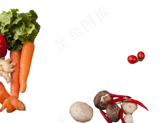 胡萝卜素营养健康