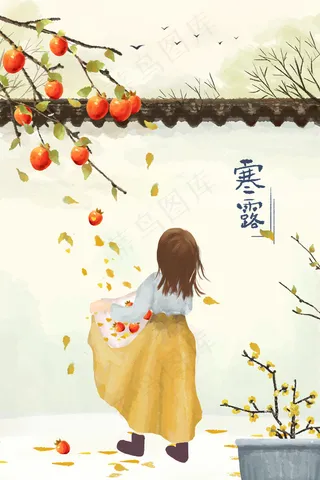 寒露小女孩开心收柿子