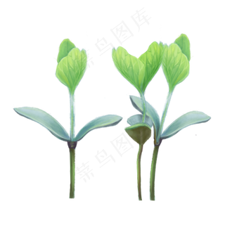春日春天植物PNG发芽绿色,免抠元素