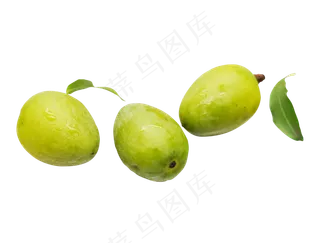 绿色橄榄橄榄果