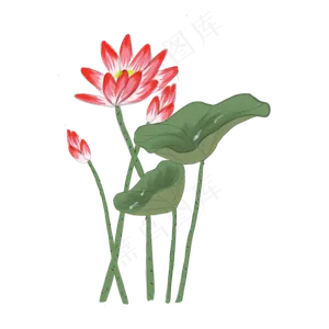 手绘中国风荷花PNG素材