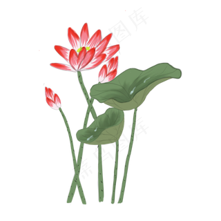 手绘中国风荷花PNG素材