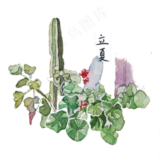 立夏水彩植物装饰图