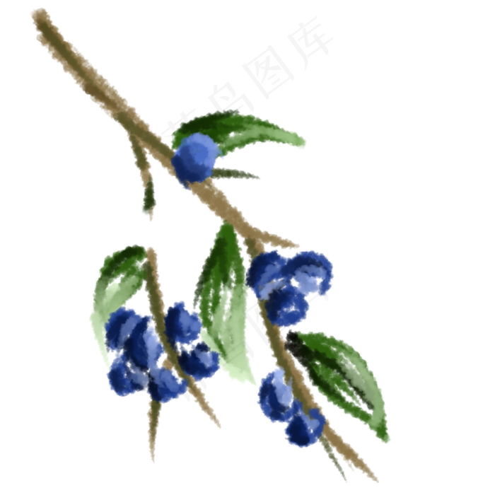 独立枝头的水果蓝莓