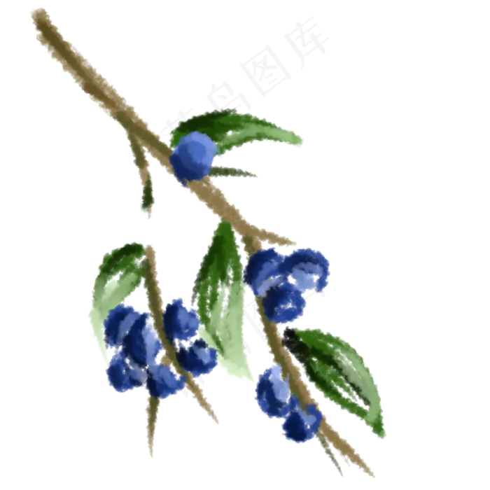 独立枝头的水果蓝莓(2000X2000(DPI:300))psd模版下载