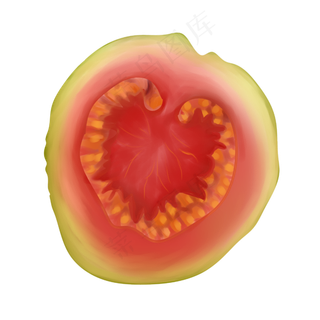 红色果肉番石榴