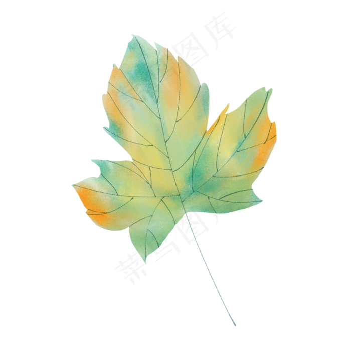 春天绿色水彩树叶