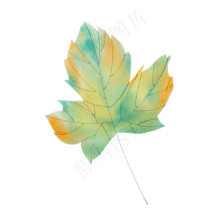 春天绿色水彩树叶