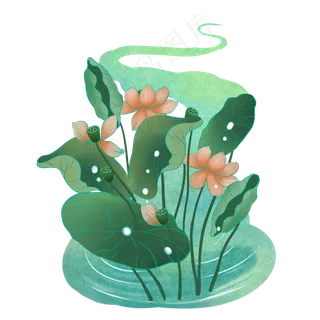 荷塘荷花 荷塘荷花