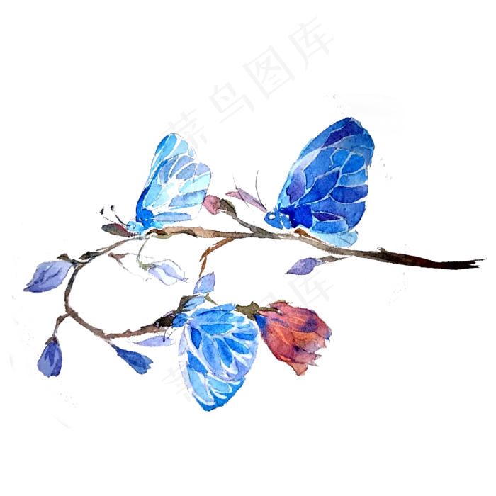 蝴蝶透明翅膀蓝色美丽昆虫PNG,免抠元素(2000X2000(DPI:200))psd模版下载