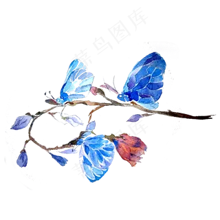 蝴蝶透明翅膀蓝色美丽昆虫PNG,免抠元素