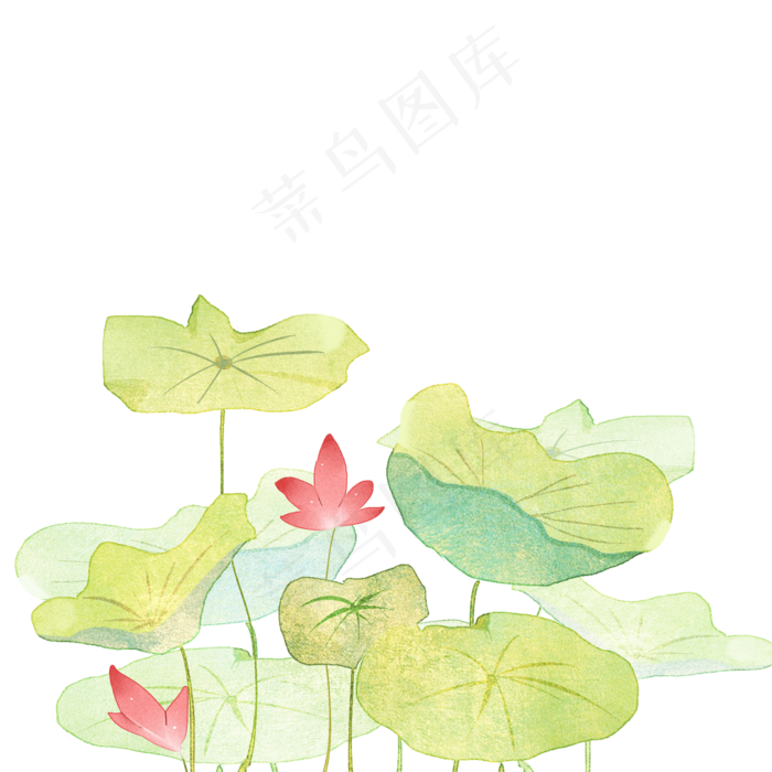 荷塘荷叶荷花(2000X2000(DPI:300))psd模版下载