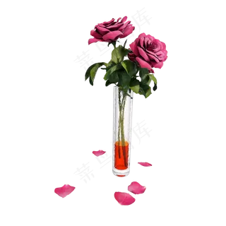 七夕粉色玫瑰png图