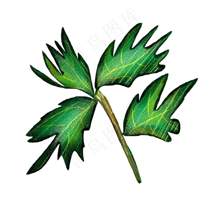 端午节装饰仿真艾草(2000X2000(DPI:300))psd模版下载