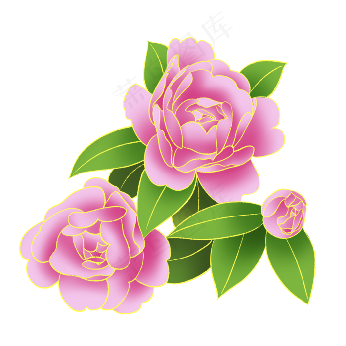 新中式国潮风植物山茶花(2000X2000(DPI:300))psd模版下载