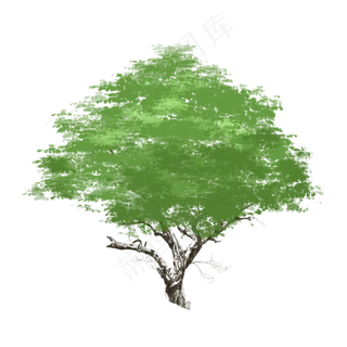 春天长满绿叶的树下载,免抠元素