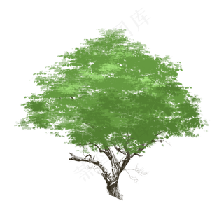 春天长满绿叶的树下载,免抠元素