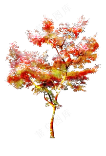 手绘水彩风环艺水彩树+线稿,免抠元素