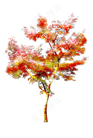 手绘水彩风环艺水彩树+线稿,免抠元素