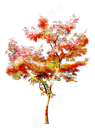 手绘水彩风环艺水彩树+线稿,免抠元素